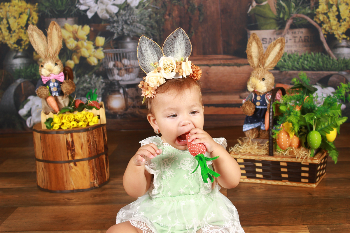 studio-estudio-foto-fotografia-book-gestante-acompanhamento-bebe-mesversario-casal-smash-newborn-ibiuna-aniversario-sao-paulo