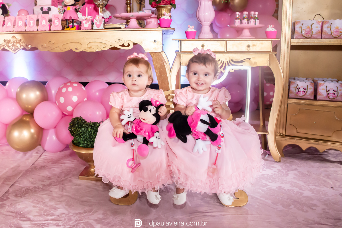 1aninho-gemeas-minnierosa-niver1ano-aniversarioinfantil-ibuna-saopoulo