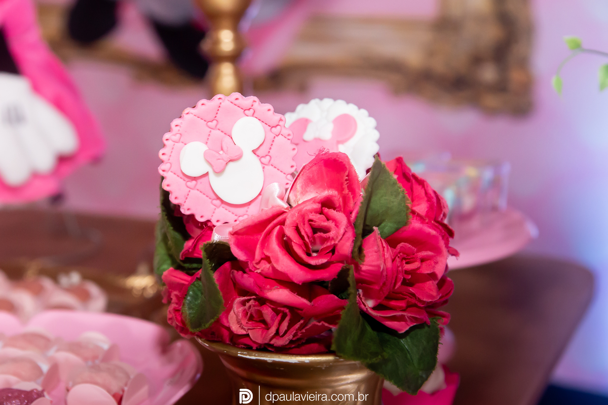 1aninho-gemeas-minnierosa-niver1ano-aniversarioinfantil-ibuna-saopoulo