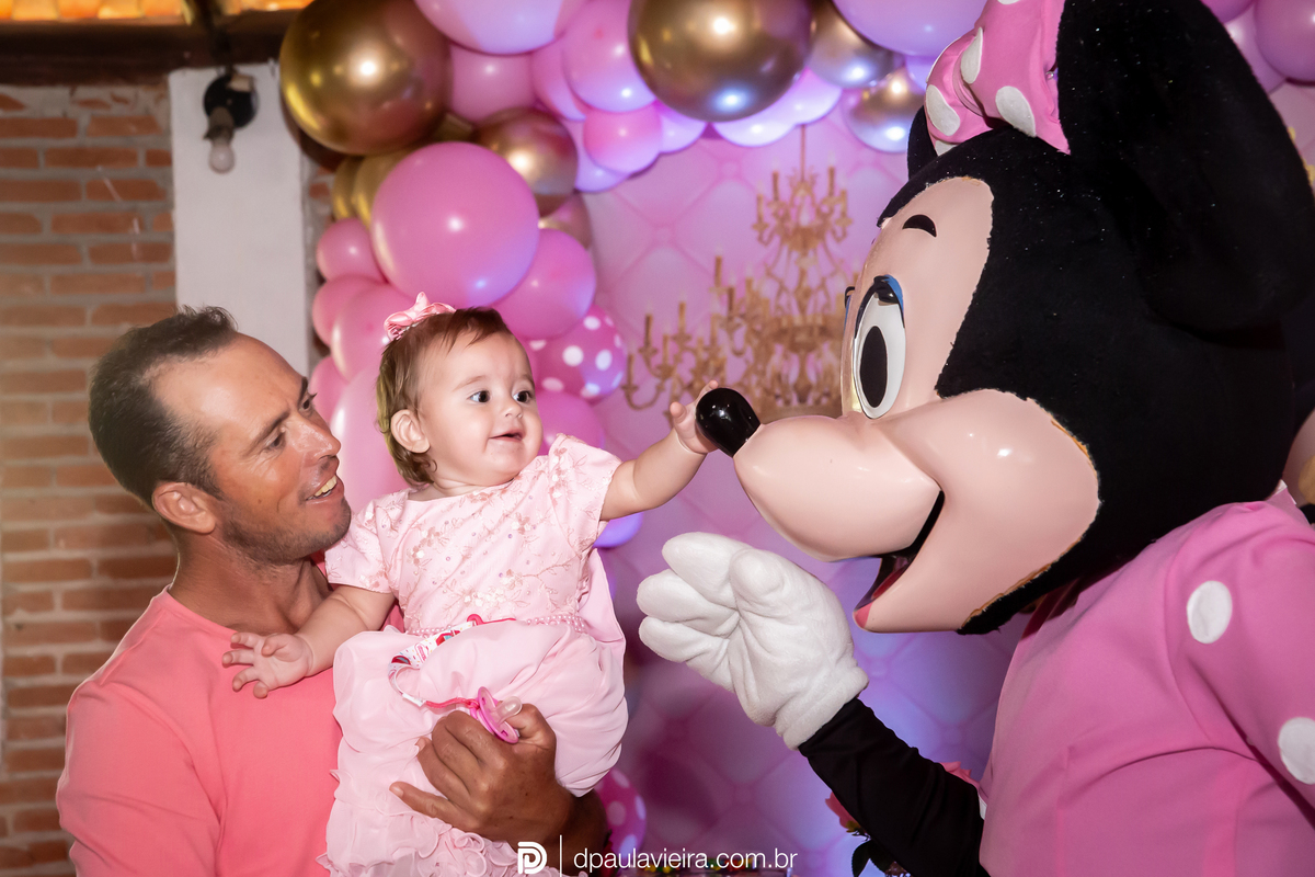 1aninho-gemeas-minnierosa-niver1ano-aniversarioinfantil-ibuna-saopoulo