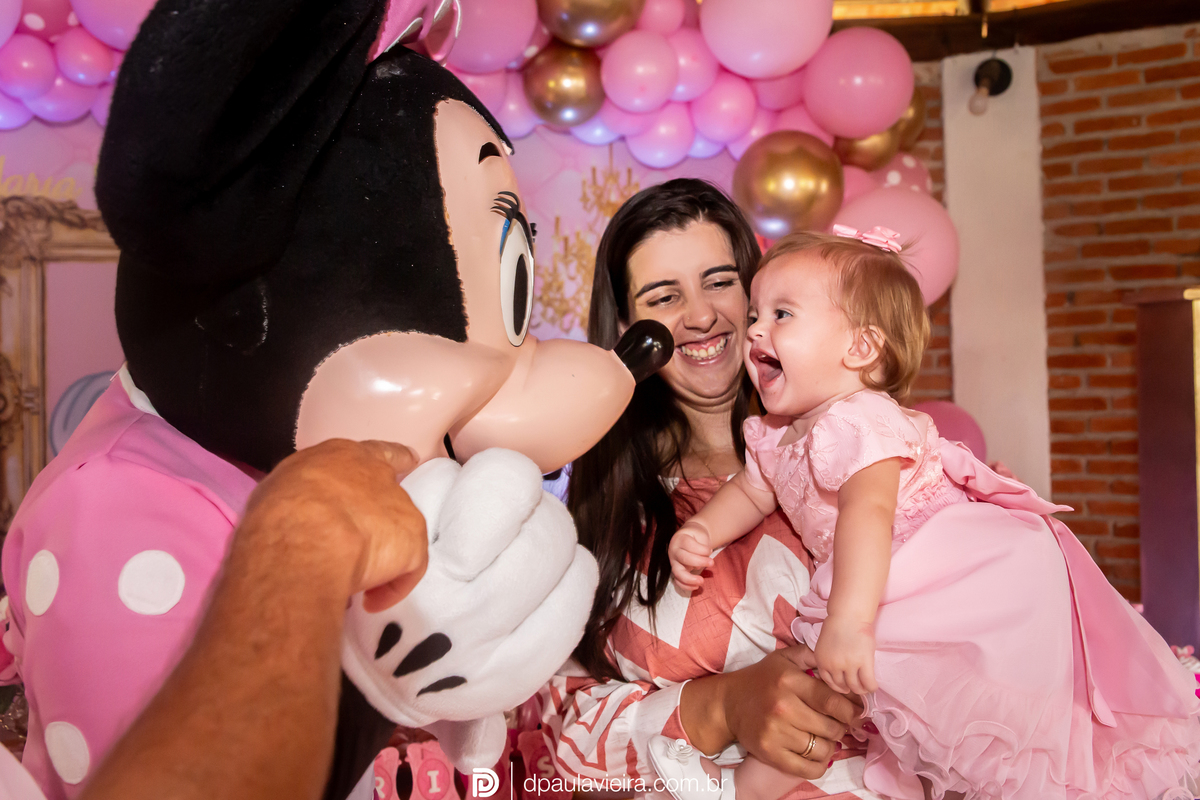 1aninho-gemeas-minnierosa-niver1ano-aniversarioinfantil-ibuna-saopoulo