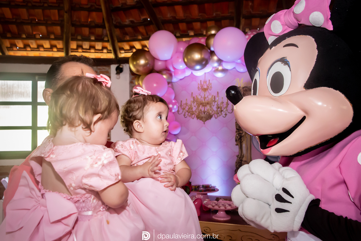 1aninho-gemeas-minnierosa-niver1ano-aniversarioinfantil-ibuna-saopoulo
