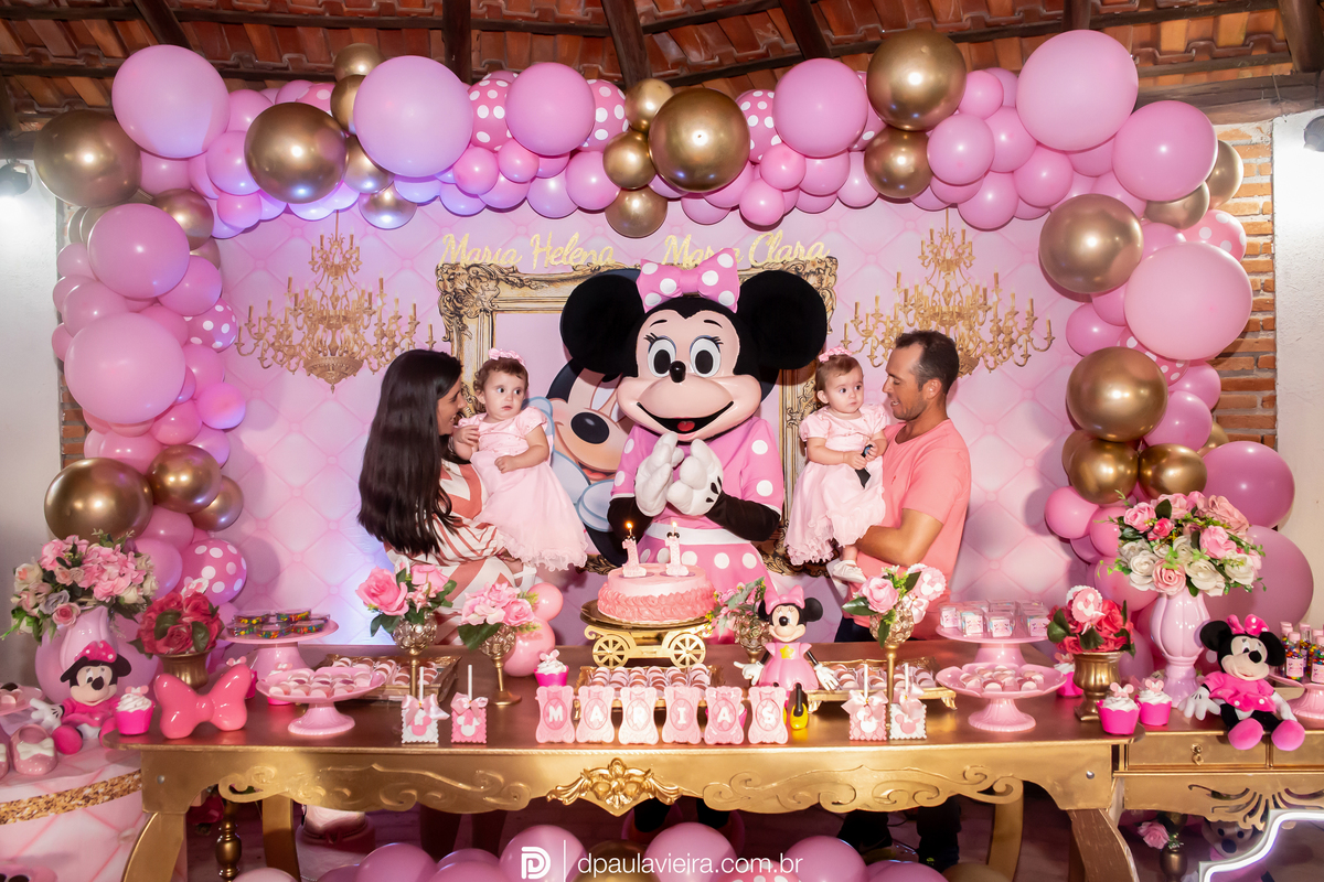 1aninho-gemeas-minnierosa-niver1ano-aniversarioinfantil-ibuna-saopoulo