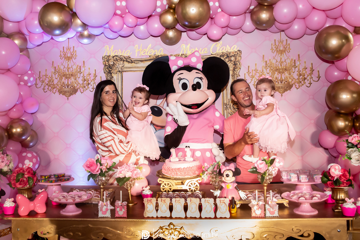 1aninho-gemeas-minnierosa-niver1ano-aniversarioinfantil-ibuna-saopoulo