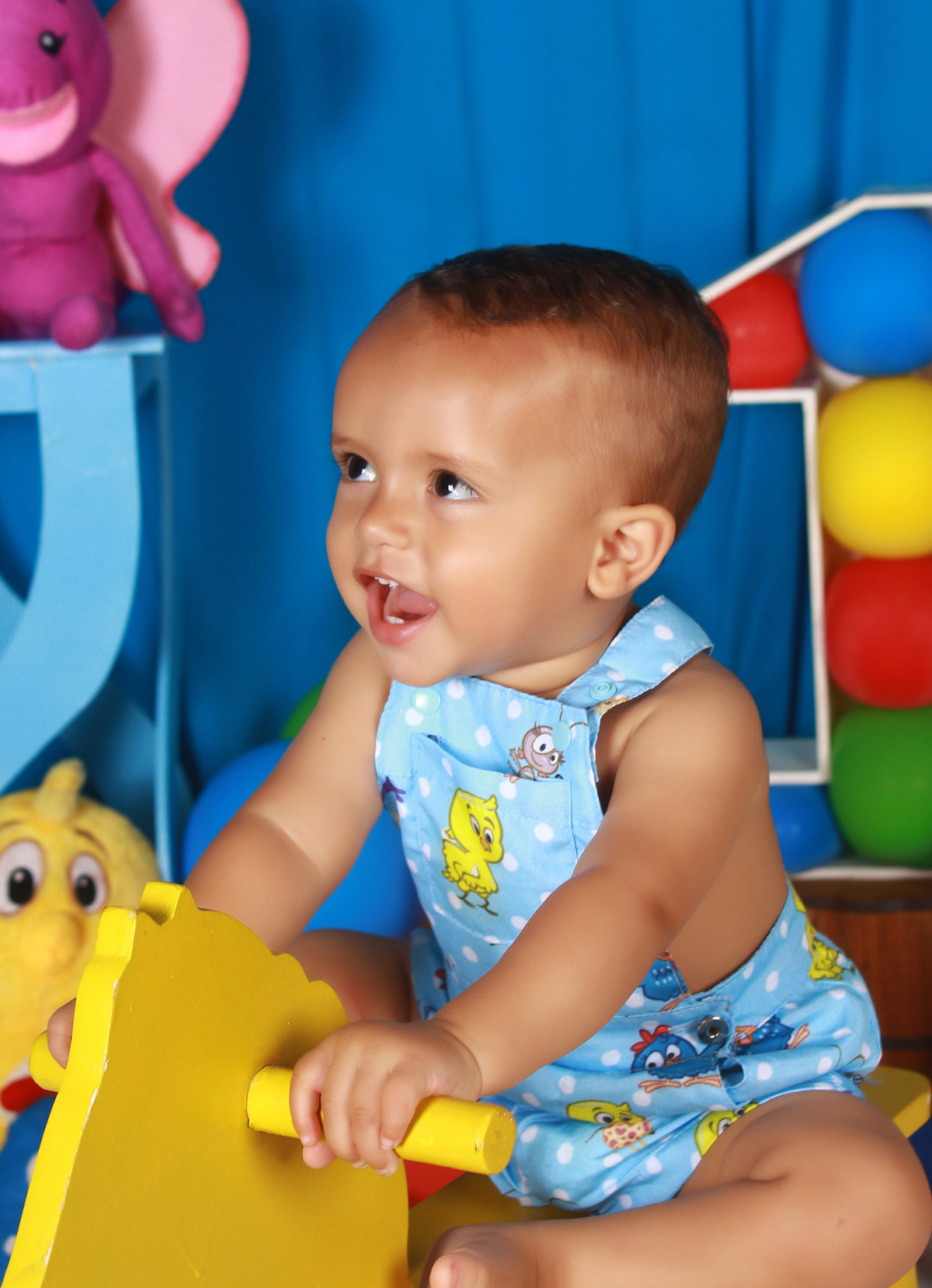 1aninho-gemeas-minnierosa-niver1ano-aniversarioinfantil-ibuna-saopoulo