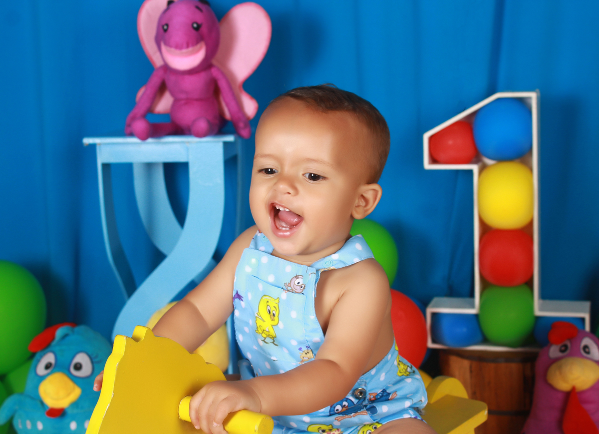 1aninho-gemeas-minnierosa-niver1ano-aniversarioinfantil-ibuna-saopoulo