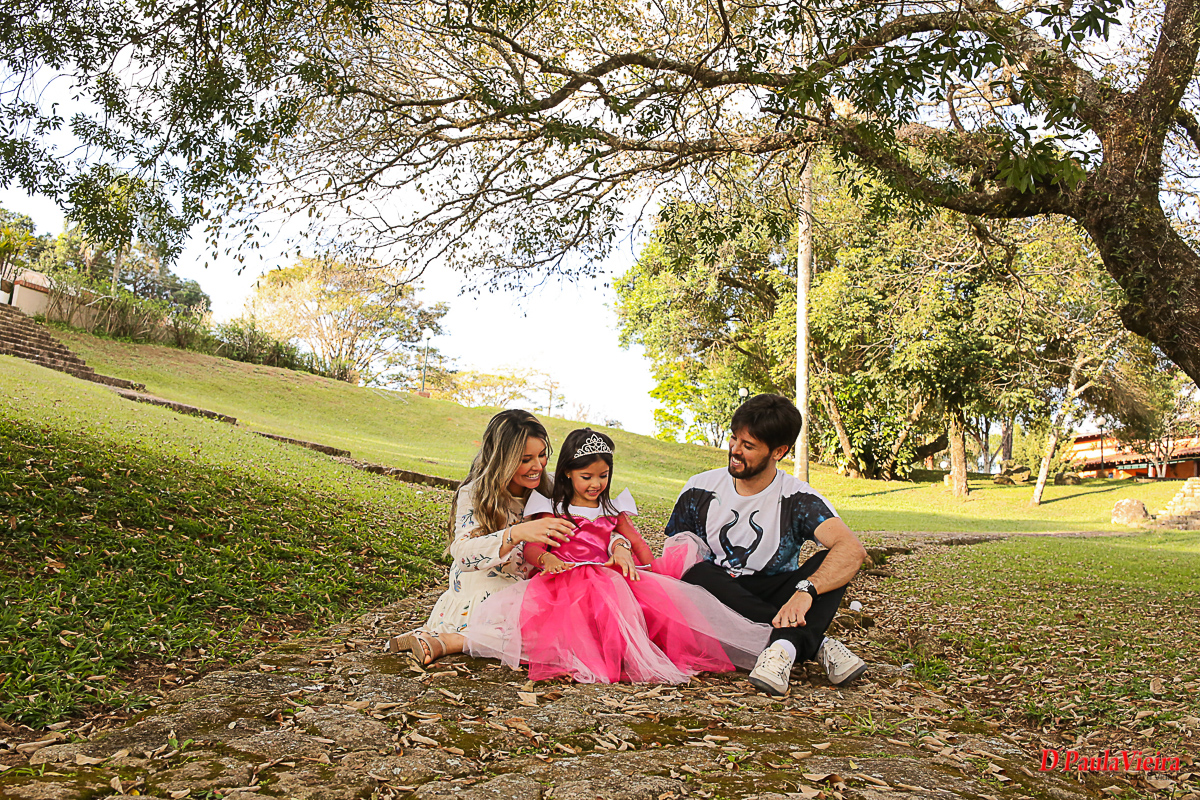 aniversario-princesa-vestido-rosa-coroa-foto-video-dpaula vieira-sp-casamento-studio-acompanhamento-ibiuna-sao roque-sorocaba-mairinque-interior-sao paulo-gestante-pre wedding-  acompanhamento-15 anos