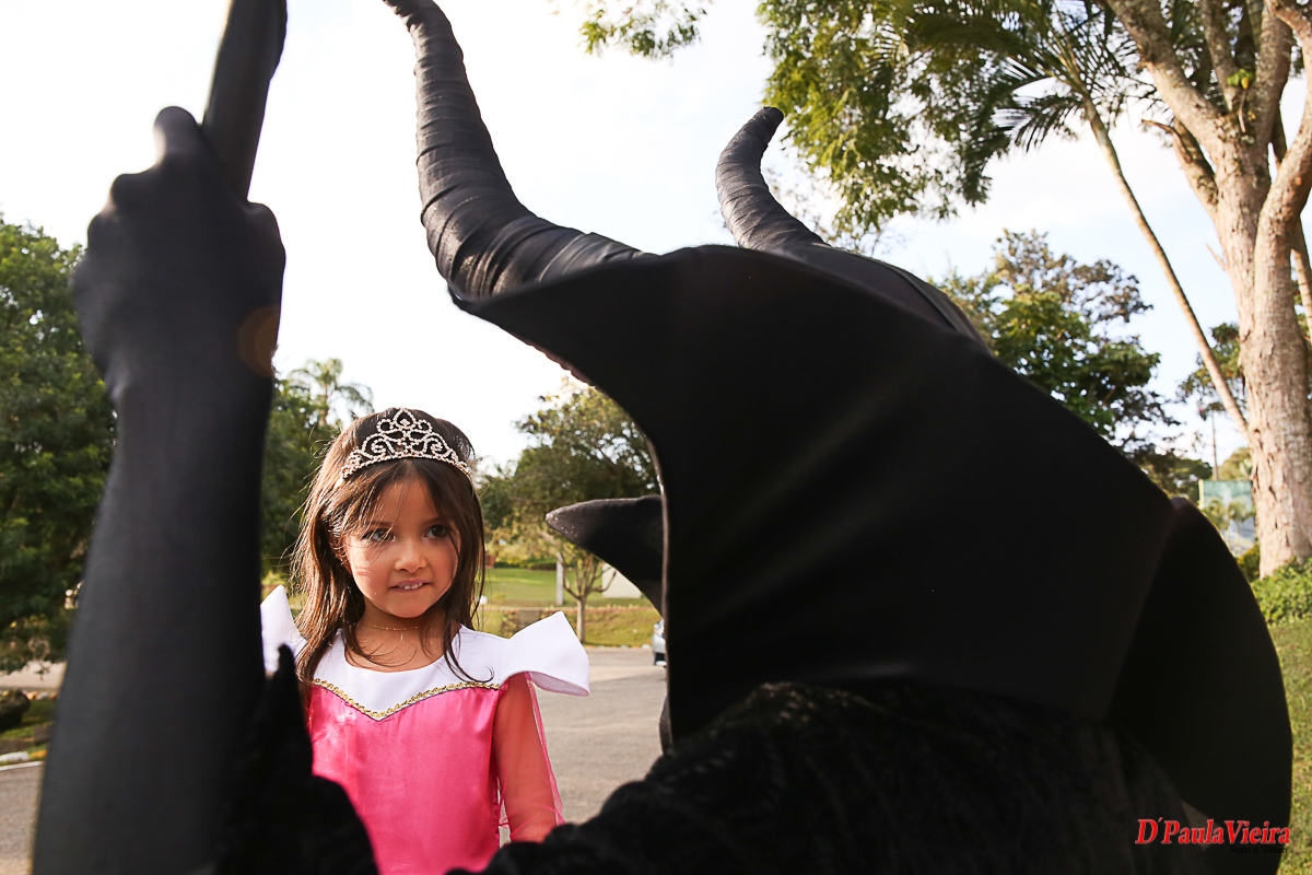 aniversario-princesa-vestido-rosa-coroa-foto-video-dpaula vieira-sp-casamento-studio-acompanhamento-ibiuna-sao roque-sorocaba-mairinque-interior-sao paulo-gestante-pre wedding-  acompanhamento-15 anos