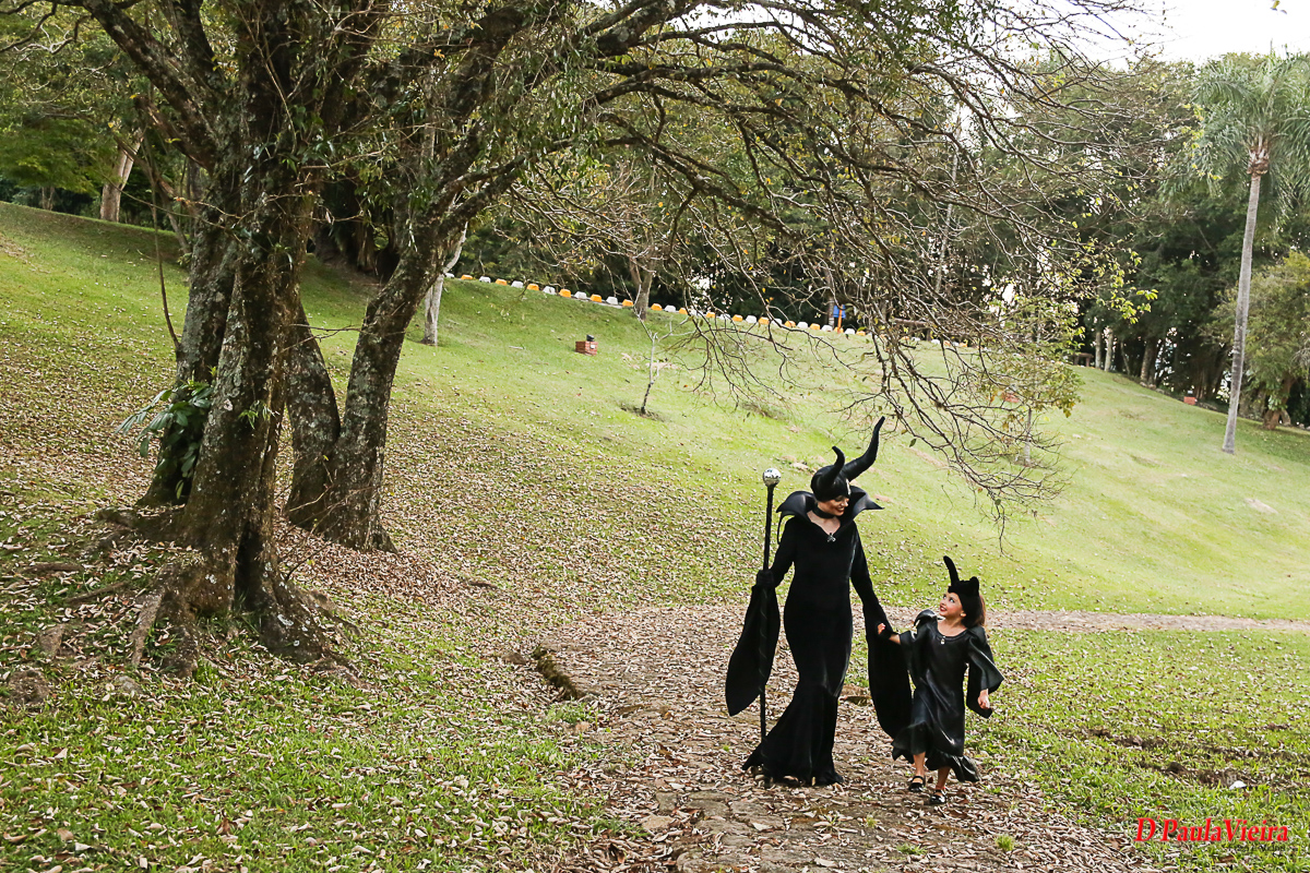 aniversario-malevola-princesas-fadas-foto-video-dpaula vieira-sp-casamento-studio-acompanhamento-ibiuna-sao roque-sorocaba-mairinque-interior-sao paulo-gestante-pre wedding-  acompanhamento-15 anos