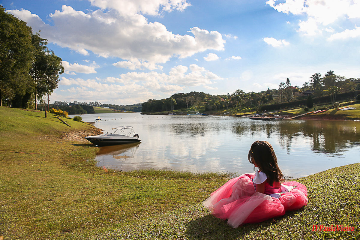 aniversario-princesa-vestido-rosa-coroa-foto-video-dpaula vieira-sp-casamento-studio-acompanhamento-ibiuna-sao roque-sorocaba-mairinque-interior-sao paulo-gestante-pre wedding-  acompanhamento-15 anos