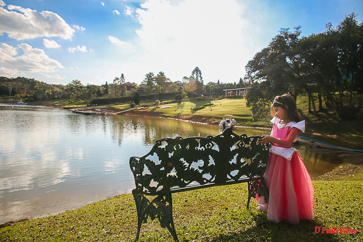 aniversario-princesa-vestido-rosa-coroa-foto-video-dpaula vieira-sp-casamento-studio-acompanhamento-ibiuna-sao roque-sorocaba-mairinque-interior-sao paulo-gestante-pre wedding-  acompanhamento-15 anos