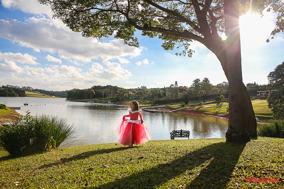aniversario-princesa-vestido-rosa-coroa-foto-video-dpaula vieira-sp-casamento-studio-acompanhamento-ibiuna-sao roque-sorocaba-mairinque-interior-sao paulo-gestante-pre wedding-  acompanhamento-15 anos