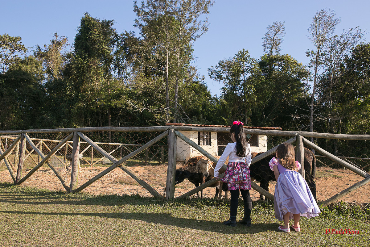 criança-aniversario-amiga-fazendinha-foto-video-dpaula vieira-sp-casamento-studio-acompanhamento-ibiuna-sao roque-sorocaba-mairinque-interior-sao paulo-gestante-pre wedding-acompanhamento-15 anos