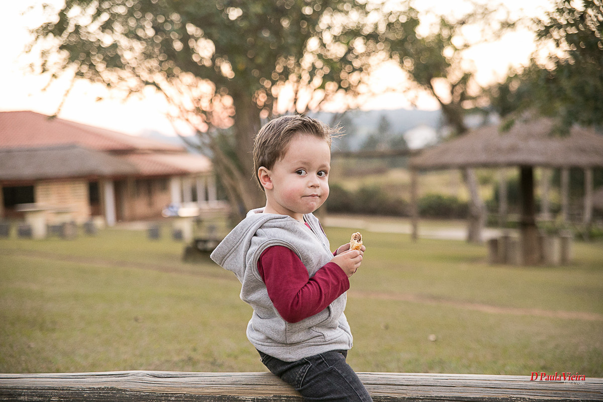 criança-aniversario-amigos-fazendinha-foto-video-dpaula vieira-sp-casamento-studio-acompanhamento-ibiuna-sao roque-sorocaba-mairinque-interior-sao paulo-gestante-pre wedding-acompanhamento-15 anos