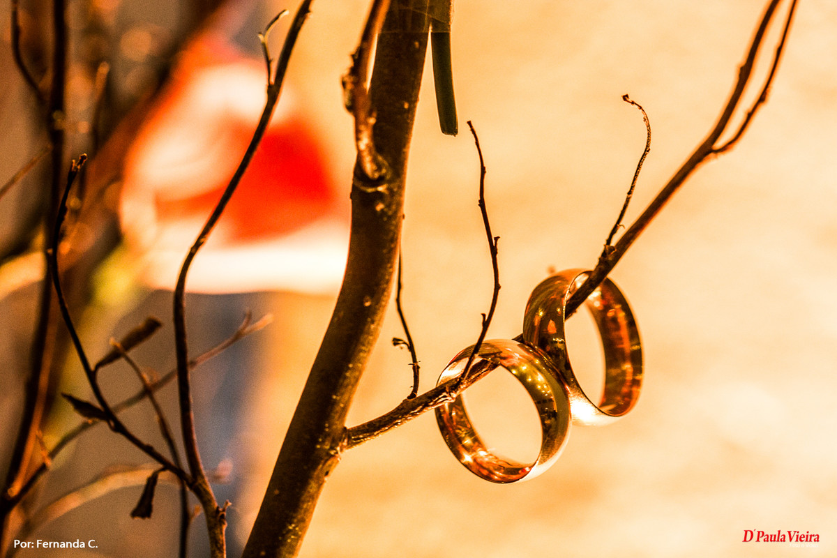 alianças-galho-detalhe-luz-foto-video-dpaula vieira-sp-casamento-studio-acompanhamento-ibiuna-sao roque-sorocaba-mairinque-interior-sao paulo-gestante-pre wedding-acompanhamento-15 anos-batizado