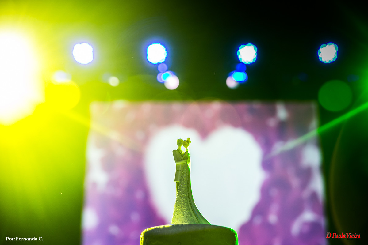 foto-video-dpaula vieira-sp-casamento-studio-acompanhamento-ibiuna-sao roque-sorocaba-mairinque-interior-sao paulo-gestante-pre wedding-acompanhamento-15 anos-batizado