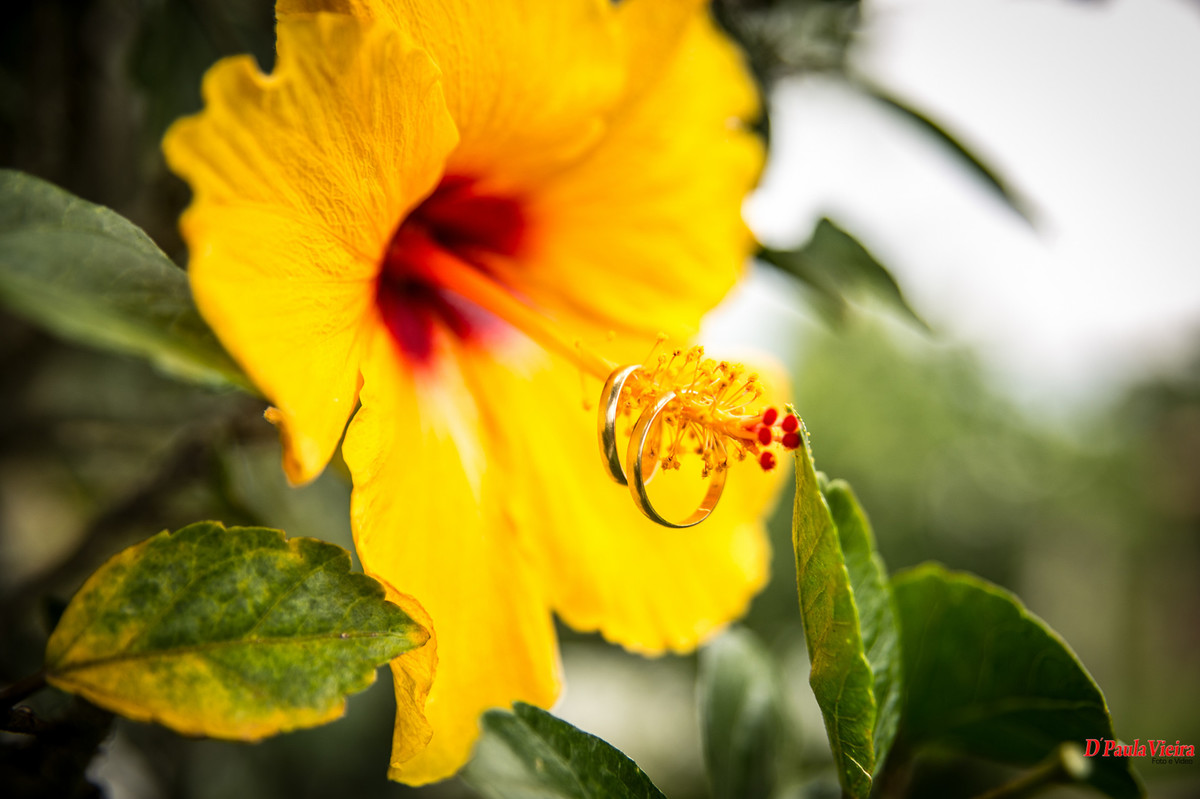 foto-video-dpaula vieira-sp-casamento-studio-acompanhamento-ibiuna-sao roque-sorocaba-mairinque-interior-sao paulo-gestante-pre wedding-acompanhamento-15 anos-batizado
