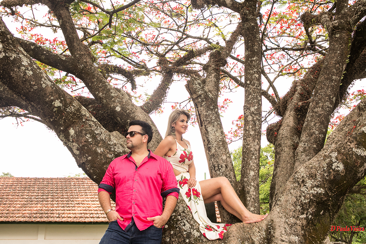foto-video-dpaula vieira-sp-casamento-studio-acompanhamento-ibiuna-sao roque-sorocaba-mairinque-interior-sao paulo-gestante-pre wedding-acompanhamento-15 anos-batizado