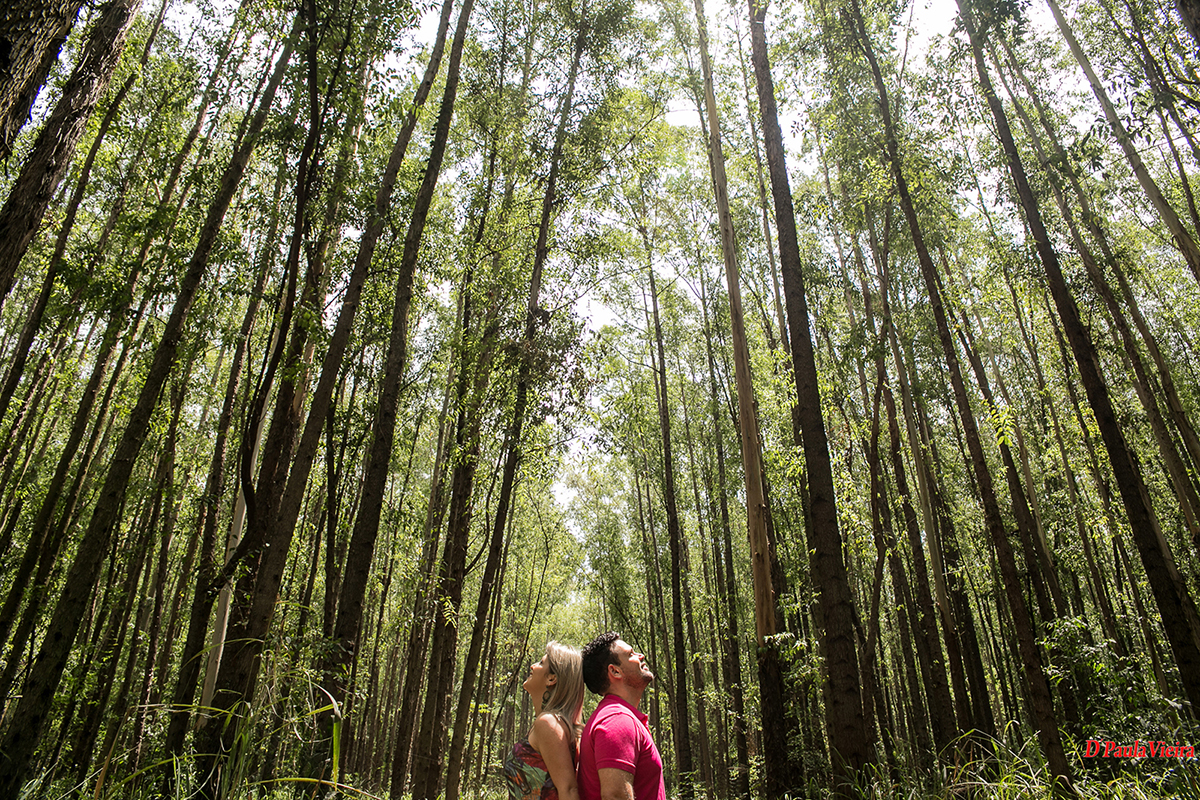foto-video-dpaula vieira-sp-casamento-studio-acompanhamento-ibiuna-sao roque-sorocaba-mairinque-interior-sao paulo-gestante-pre wedding-acompanhamento-15 anos-batizado