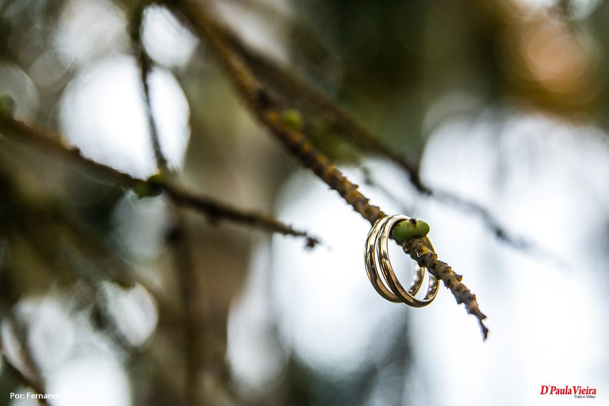 foto-video-dpaula vieira-sp-casamento-studio-acompanhamento-ibiuna-sao roque-sorocaba-mairinque-interior-sao paulo-gestante-pre wedding-acompanhamento-15 anos-batizado