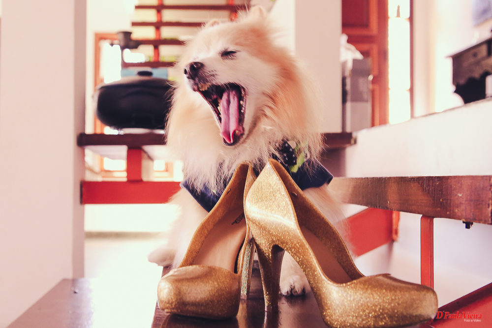 fotografo de casamento, fotografia de casamento, foto casamento, fotografo de casamento ibiuna, fotografo de casamento sao roque, fotografo da casamento sorocaba, fotografia interior de sao paulo, fotografo interior de sao paulo, fotografo vargem grande, 