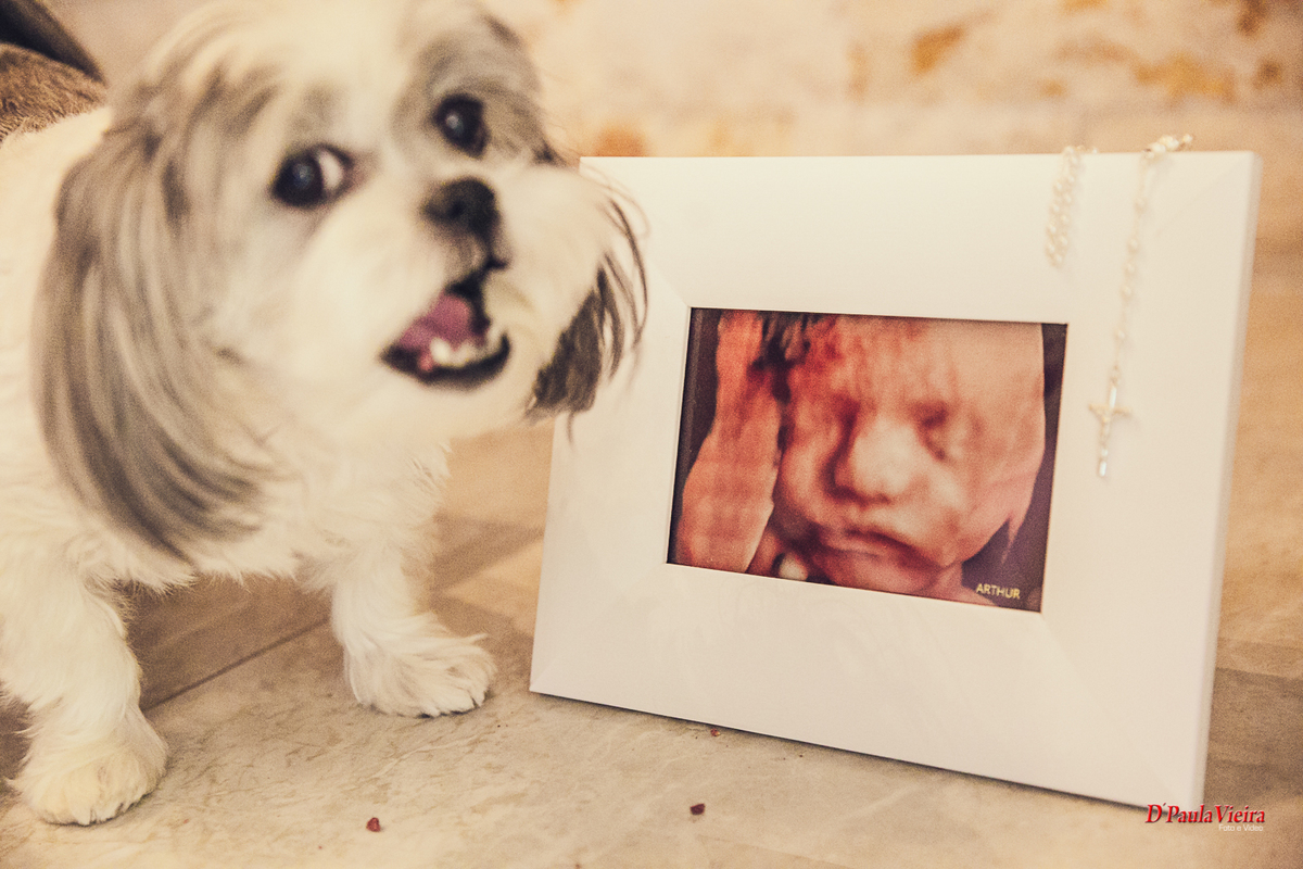 foto-video-casamento-newborn-dpaulavieira-studio-ibiuna-mairinque-saoroque-acompanhamento-sao-paulo-gestante-ensaio-externo