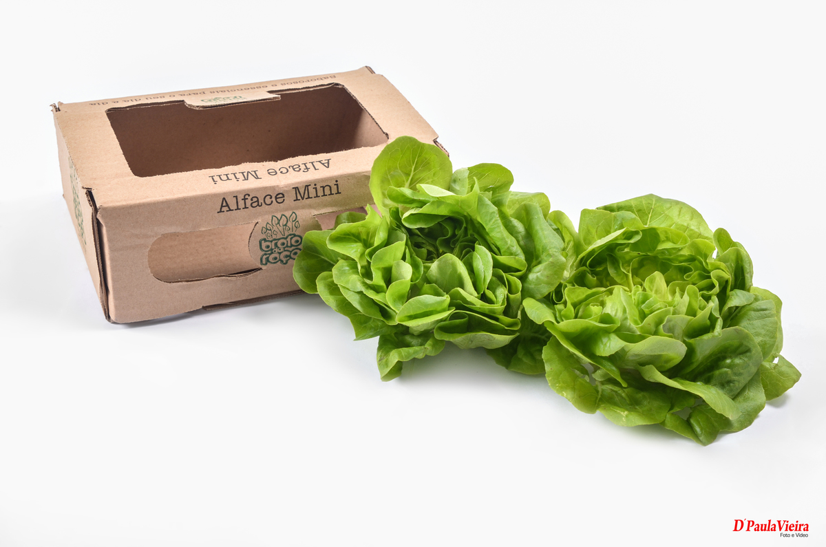 fotografia-corporativa-SolNascenteVerduras-foto-video-ibiuna-sao-paulo-broto-da-Roça