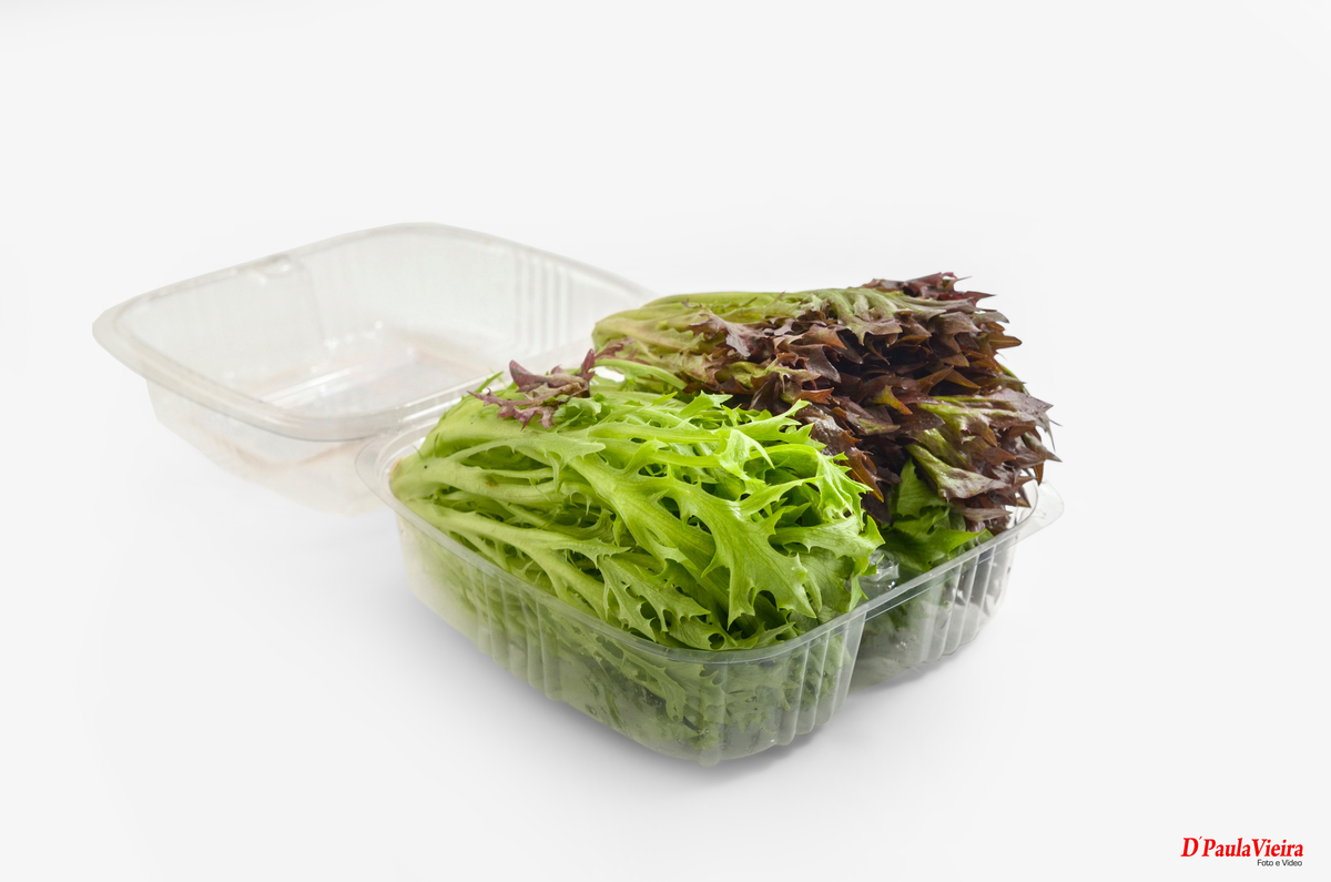 fotografia-corporativa-SolNascenteVerduras-foto-video-ibiuna-sao-paulo-broto-da-Roça