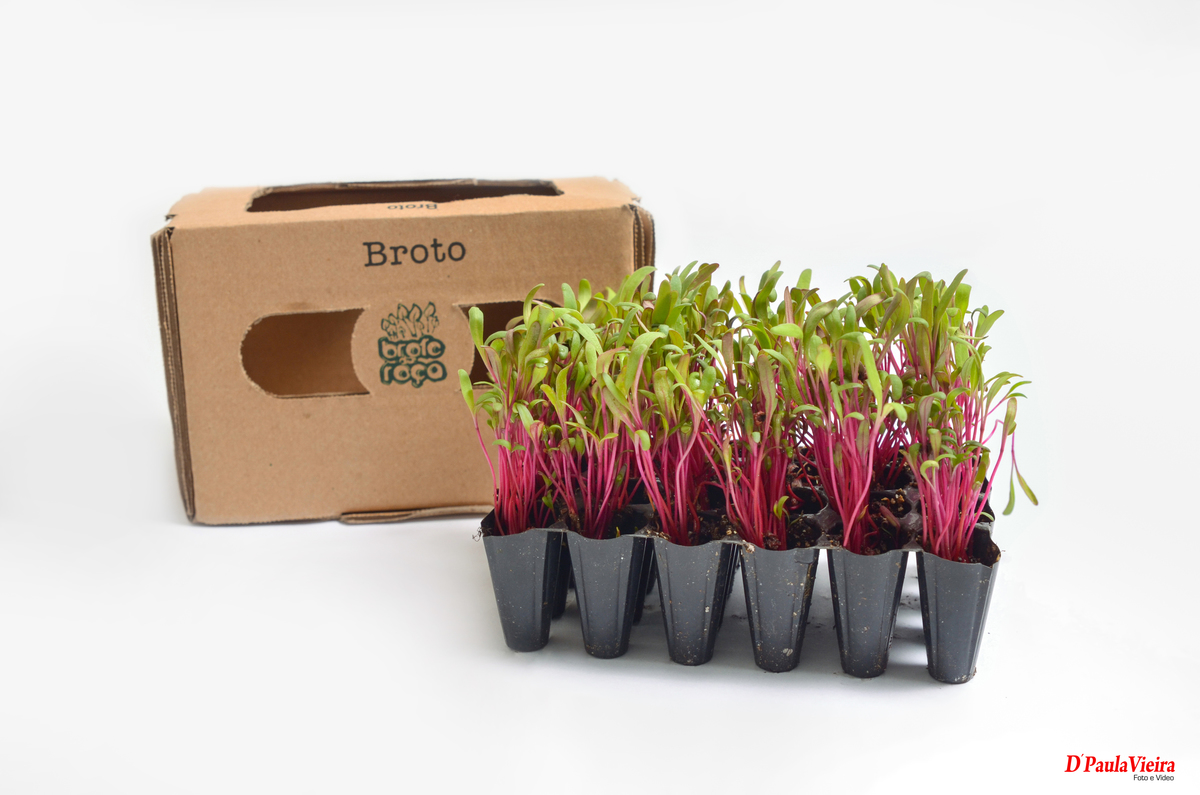 fotografia-corporativa-SolNascenteVerduras-foto-video-ibiuna-sao-paulo-broto-da-Roça