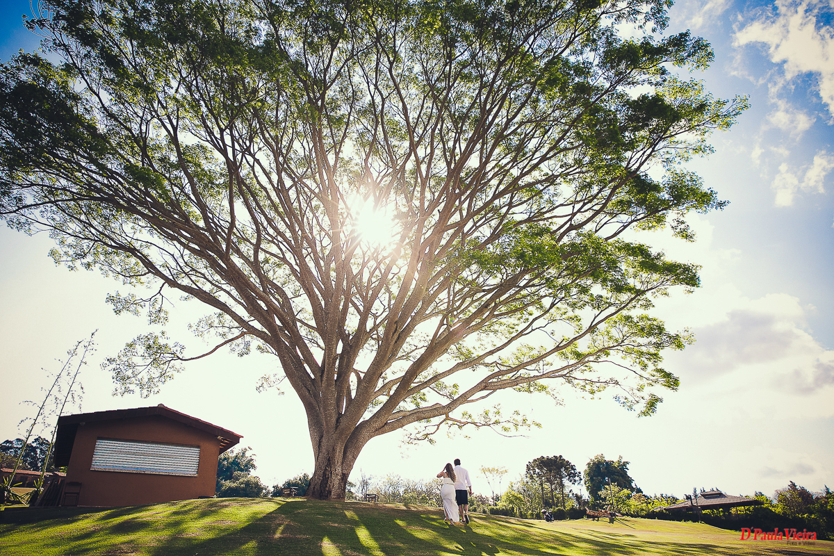  pre-wedding-ibiuna-sp-sao-paulo-sao-luana-e-felipe-fotografo-de-casamento-dpaula-veira