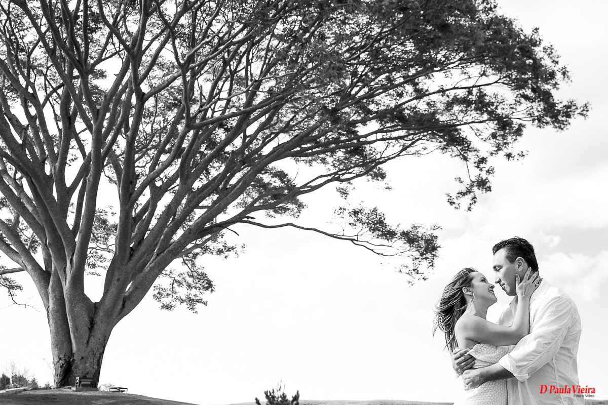  pre-wedding-ibiuna-sp-sao-paulo-sao-luana-e-felipe-fotografo-de-casamento-dpaula-veira