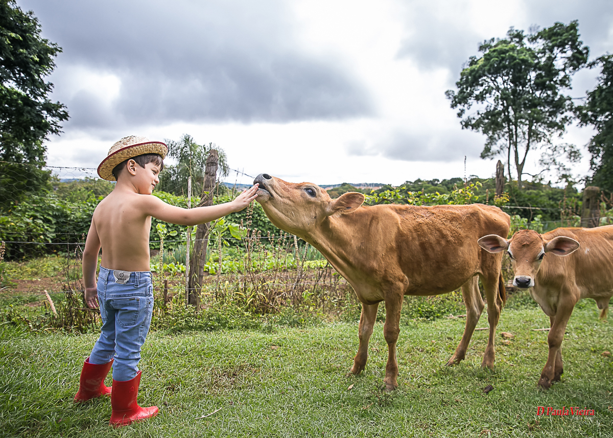 foto-video-dpaula vieira-sp-casamento-studio-acompanhamento-ibiuna-sao roque-sorocaba-mairinque-interior-sao paulo-gestante-pre wedding-acompanhamento-15 anos-batizado