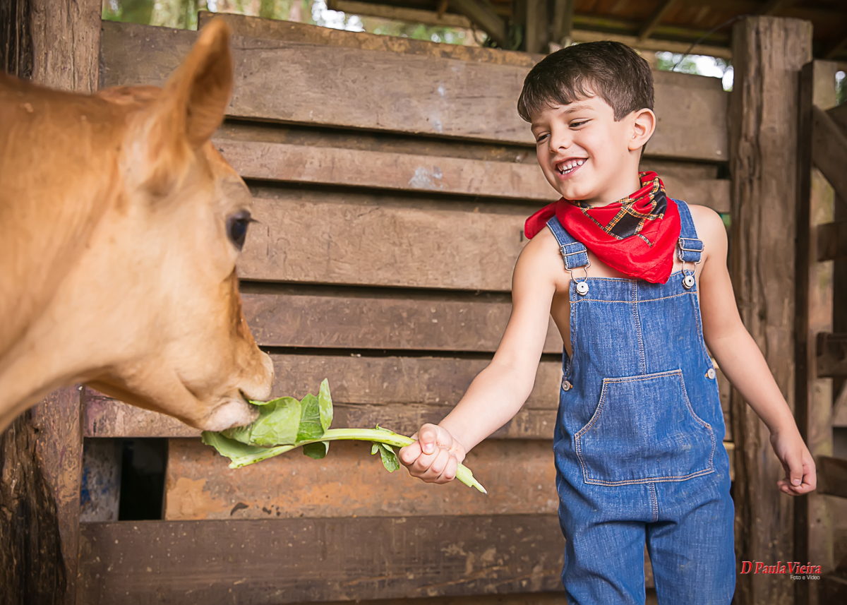 foto-video-dpaula vieira-sp-casamento-studio-acompanhamento-ibiuna-sao roque-sorocaba-mairinque-interior-sao paulo-gestante-pre wedding-acompanhamento-15 anos-batizado