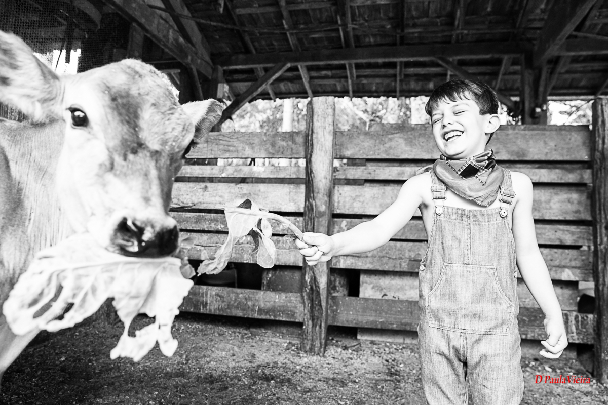 foto-video-dpaula vieira-sp-casamento-studio-acompanhamento-ibiuna-sao roque-sorocaba-mairinque-interior-sao paulo-gestante-pre wedding-acompanhamento-15 anos-batizado