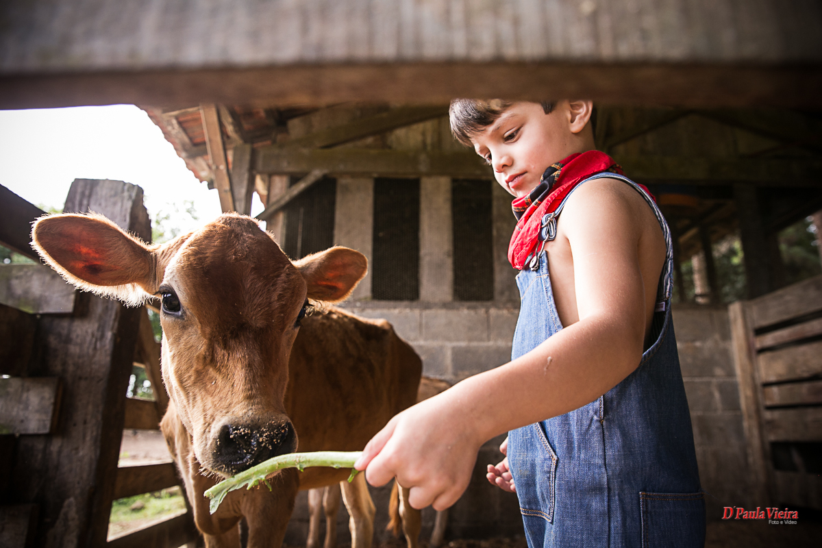 foto-video-dpaula vieira-sp-casamento-studio-acompanhamento-ibiuna-sao roque-sorocaba-mairinque-interior-sao paulo-gestante-pre wedding-acompanhamento-15 anos-batizado