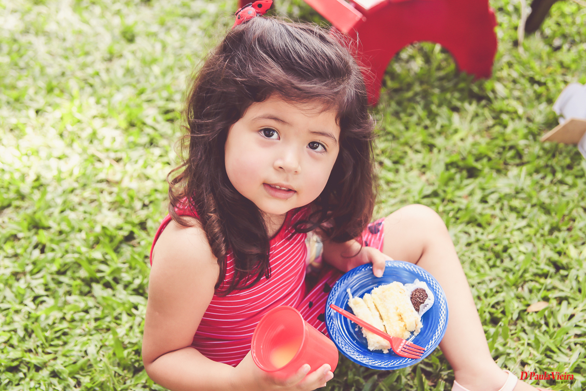 foto-video-dpaula vieira-sp-casamento-studio-acompanhamento-ibiuna-sao roque-sorocaba-mairinque-piedade-interior-sao paulo-gestante-pre wedding-acompanhamento-15 anos-batizado-aniversario1aninho
