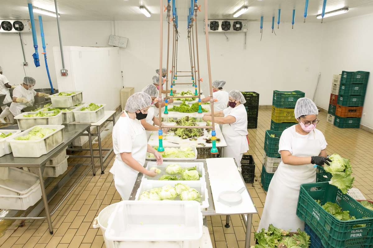 foto-video-fotografia- corporativa-ibiuna-saoroque-verduras