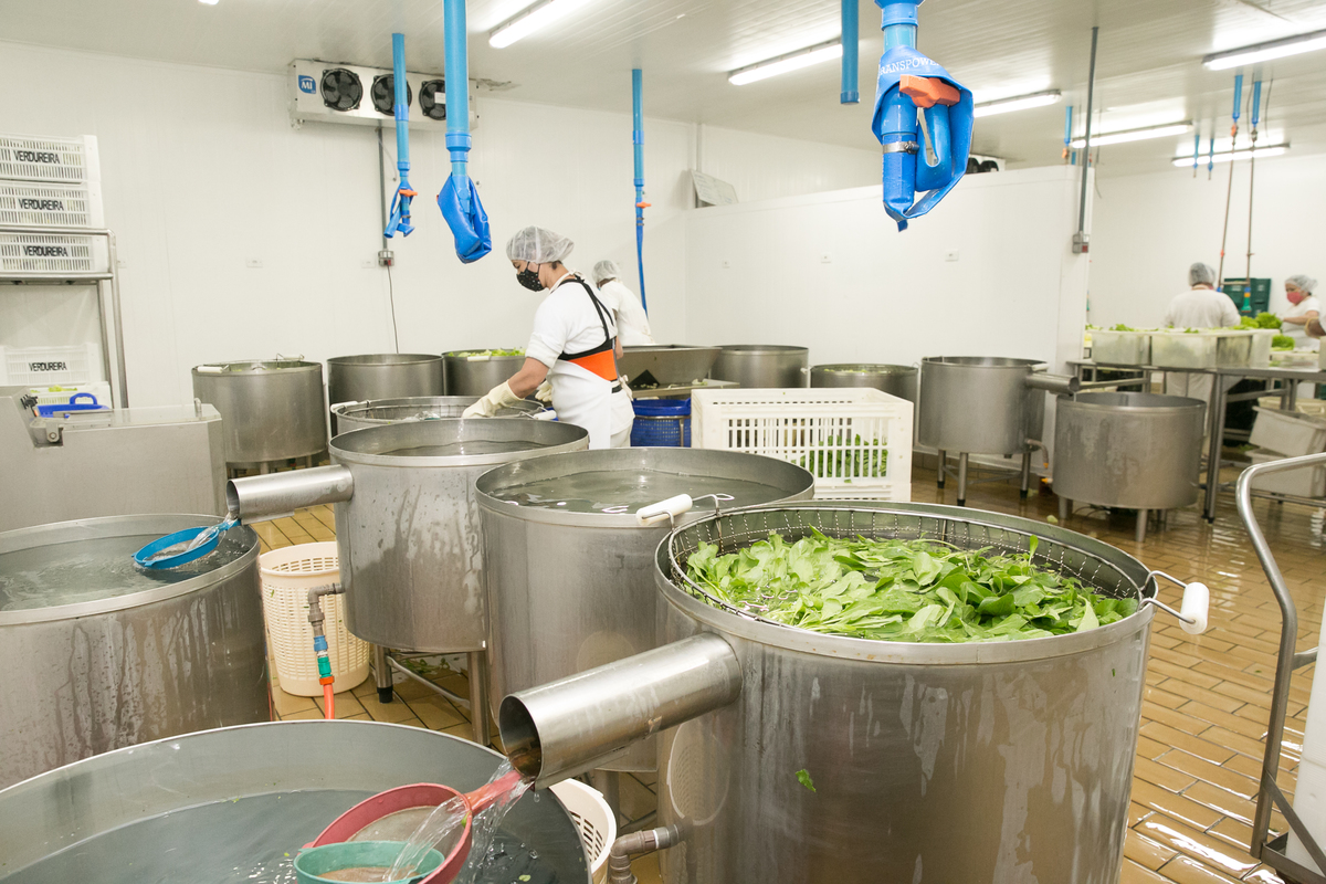 foto-video-fotografia- corporativa-ibiuna-saoroque-verduras