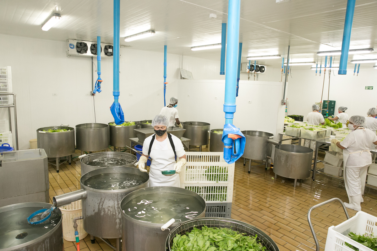 foto-video-fotografia- corporativa-ibiuna-saoroque-verduras