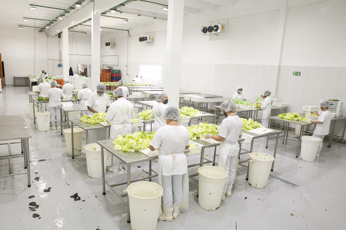 foto-video-fotografia- corporativa-ibiuna-saoroque-verduras