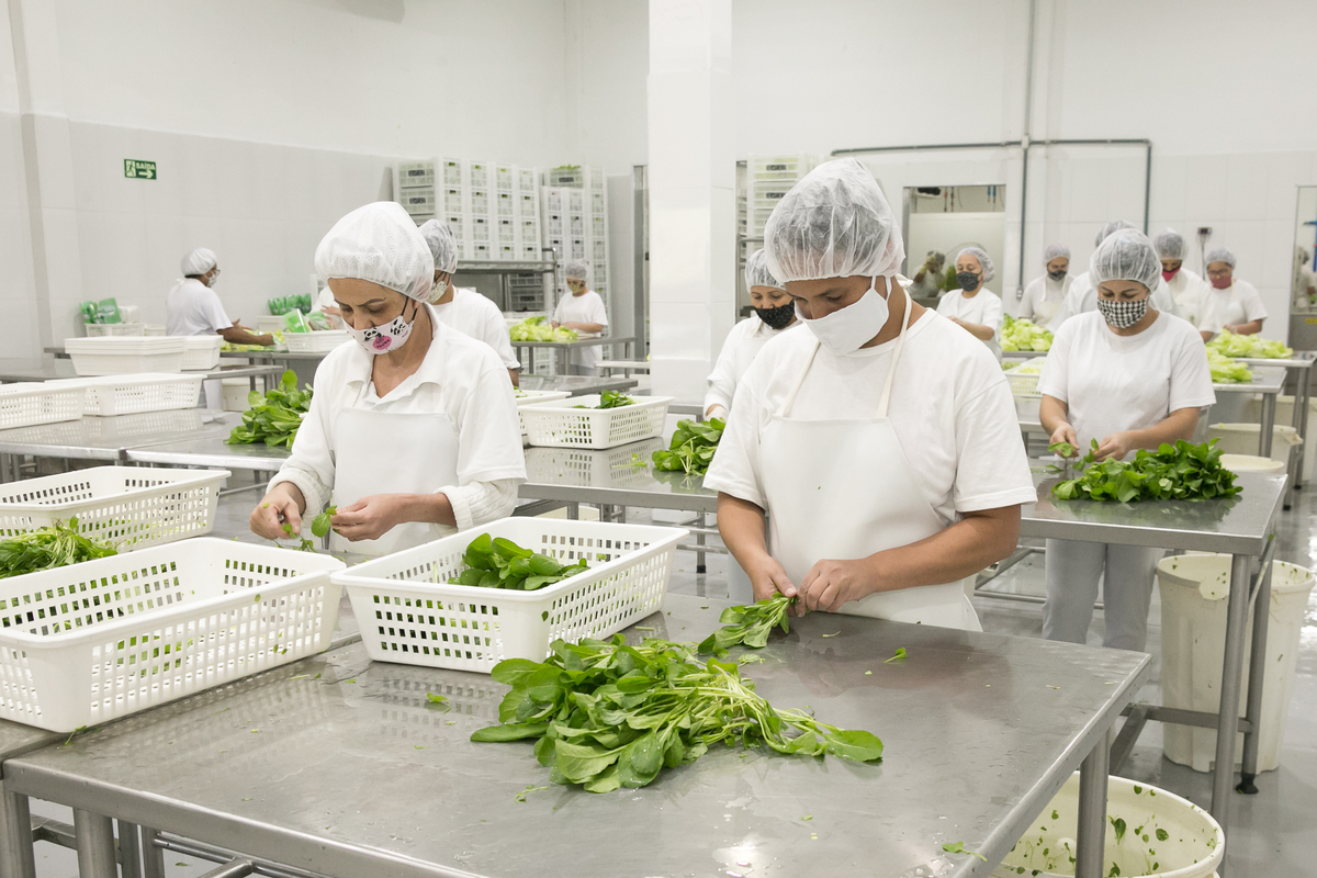 foto-video-fotografia- corporativa-ibiuna-saoroque-verduras