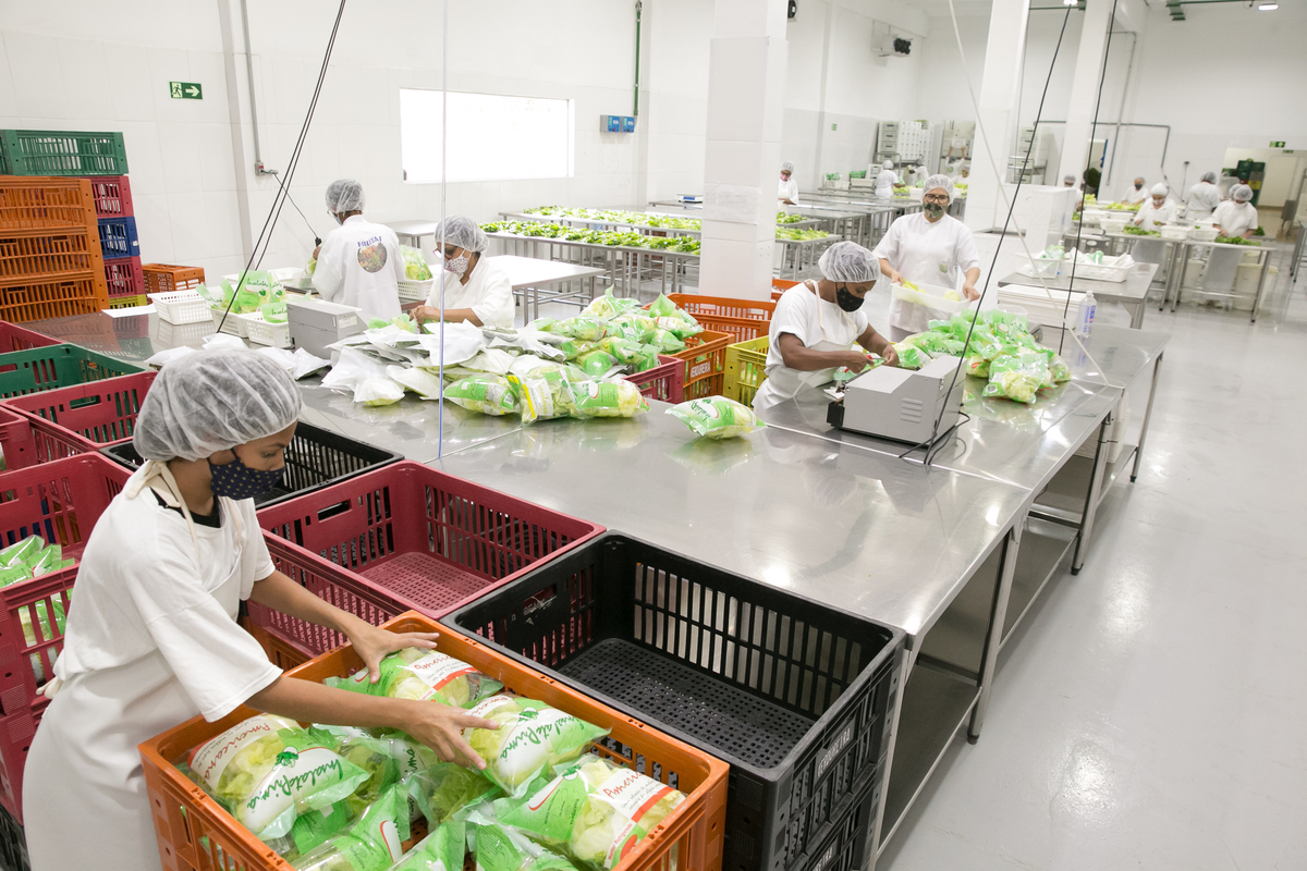 foto-video-fotografia- corporativa-ibiuna-saoroque-verduras