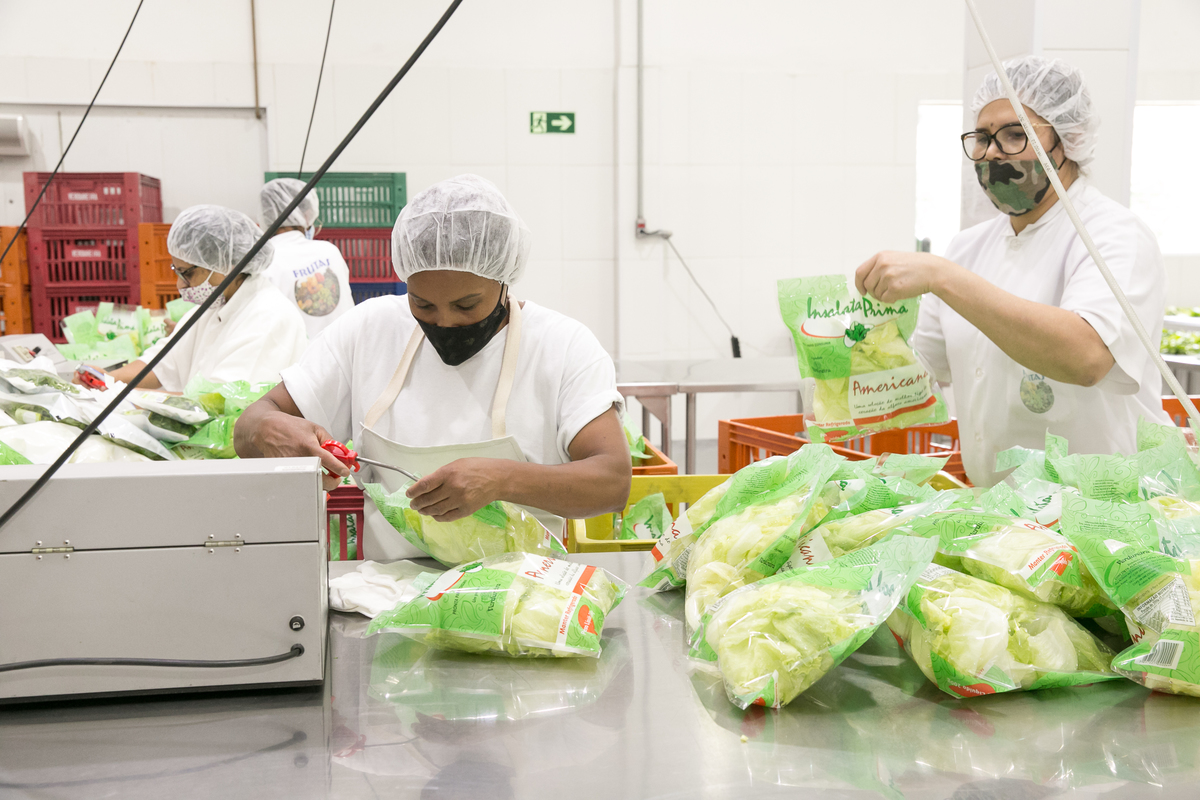 foto-video-fotografia- corporativa-ibiuna-saoroque-verduras