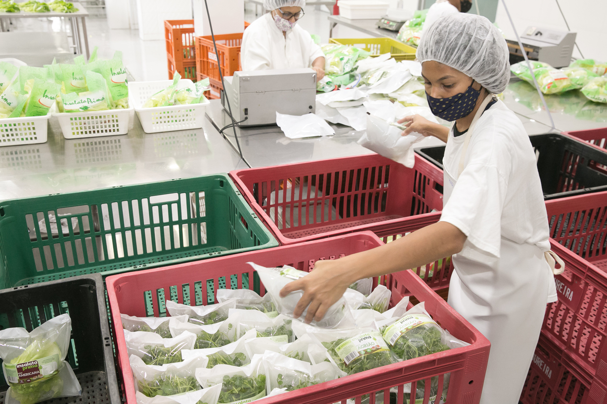 foto-video-fotografia- corporativa-ibiuna-saoroque-verduras