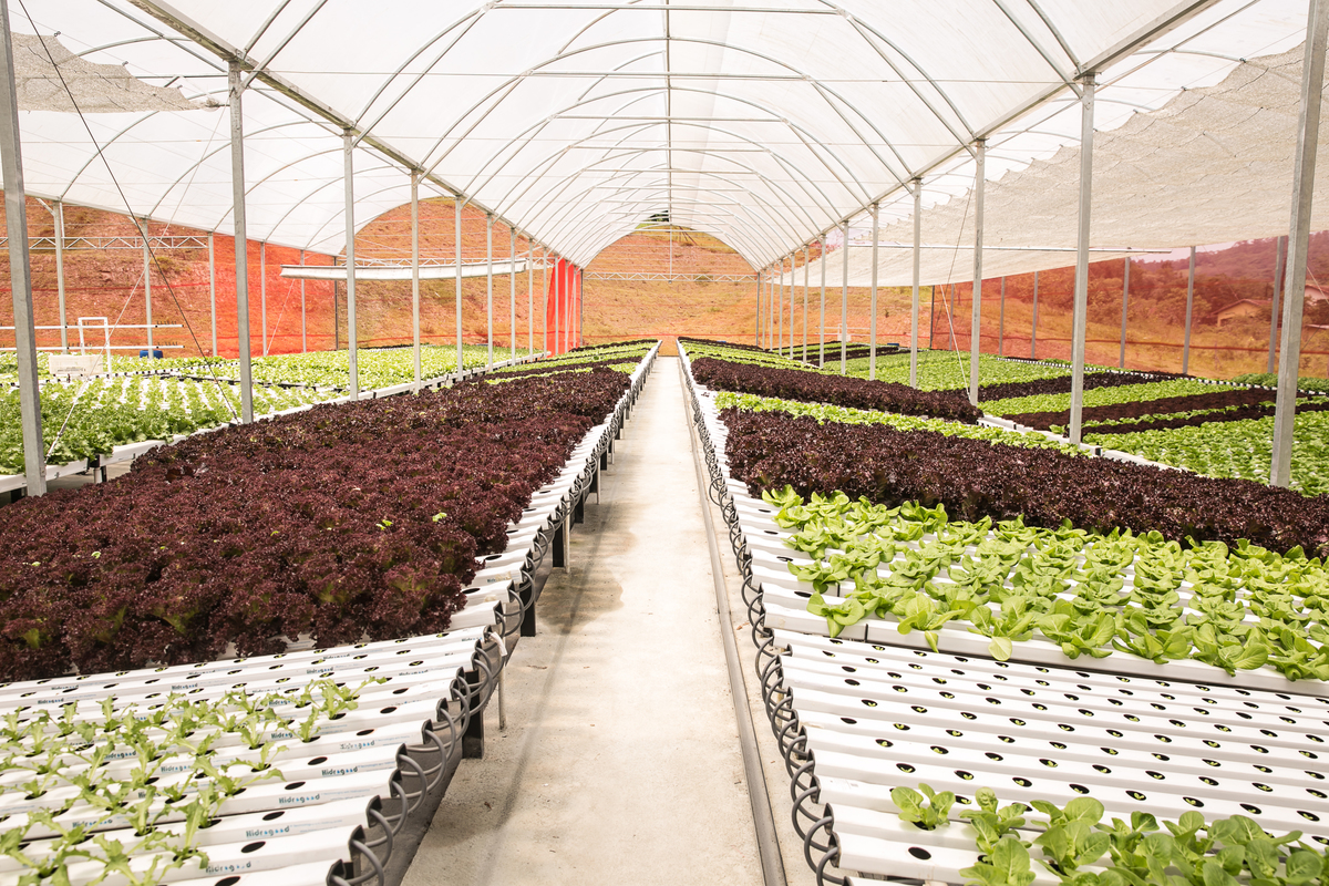 foto-video-fotografia- corporativa-ibiuna-saoroque-verduras