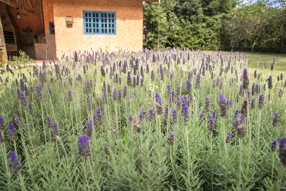 foto-video-fotografia-corporativa-ibiuna-saoroque-verduras-studio-sitio-chacara-mansao-casa-fotografo-greenfieldvillage