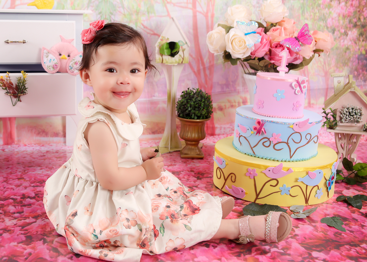 studio-foto-forografia-estudio-book-gestante-acompanhamento-bebe-mesversario-casal-smash-newborn-gestante-ibiuna-aniversario-flores