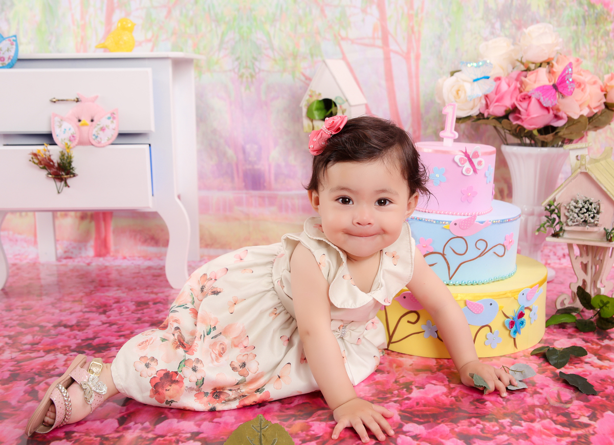 studio-foto-forografia-estudio-book-gestante-acompanhamento-bebe-mesversario-casal-smash-newborn-gestante-ibiuna-aniversario 