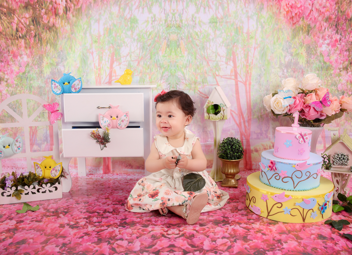 studio-foto-forografia-estudio-book-gestante-acompanhamento-bebe-mesversario-casal-smash-newborn-gestante-ibiuna-aniversario 