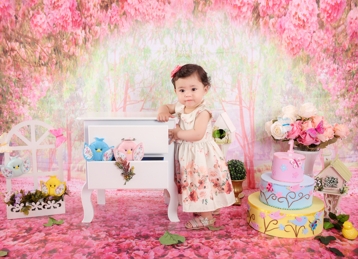 studio-foto-forografia-estudio-book-gestante-acompanhamento-bebe-mesversario-casal-smash-newborn-gestante-ibiuna-aniversario-mundorosa